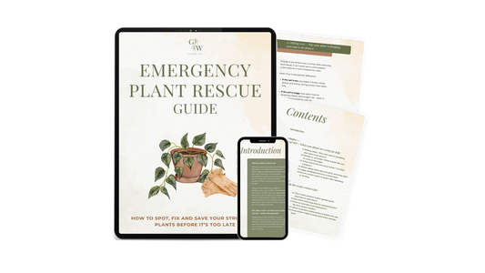 EMERGENCY PLANT RESCUE GUIDE